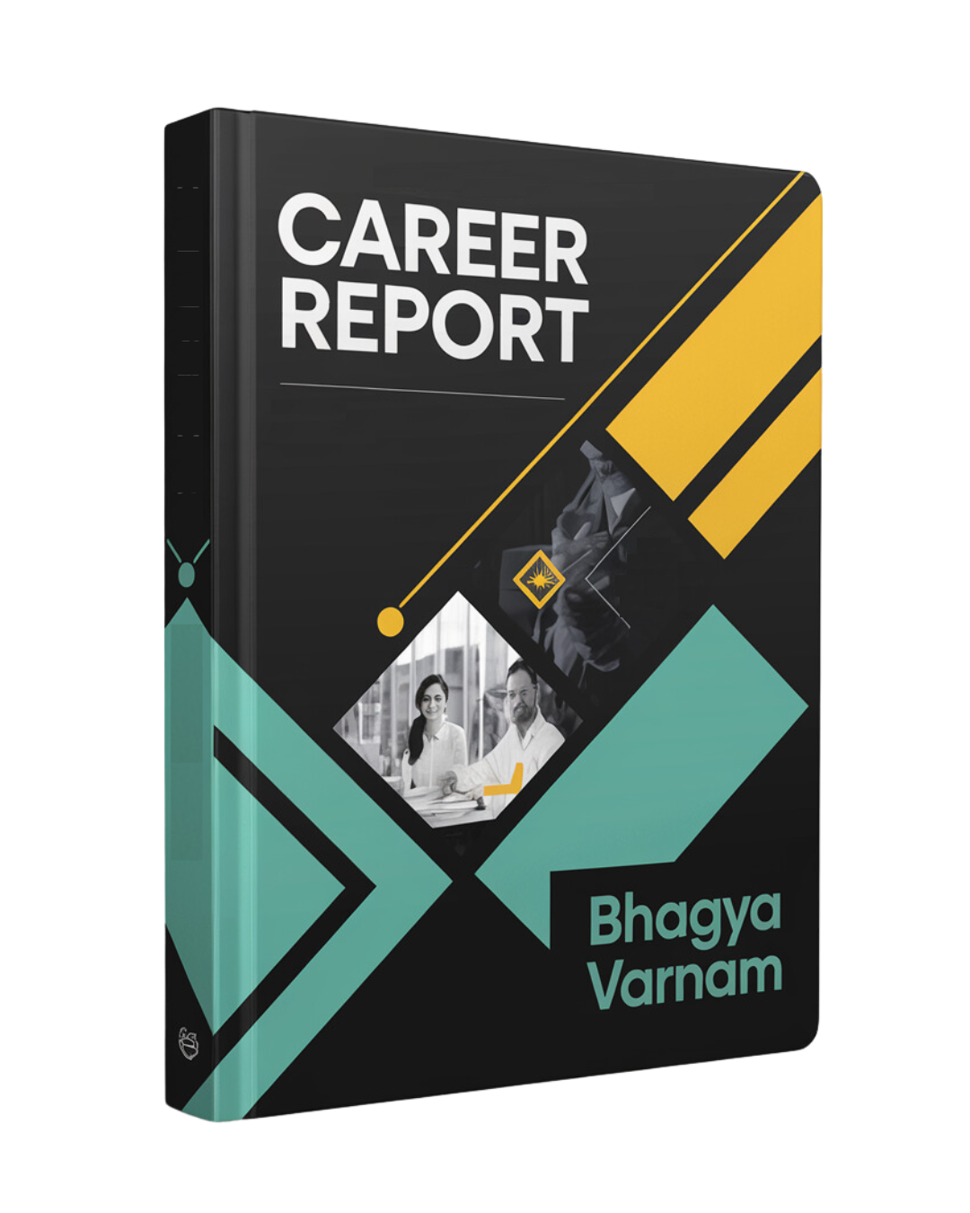 Career Report
